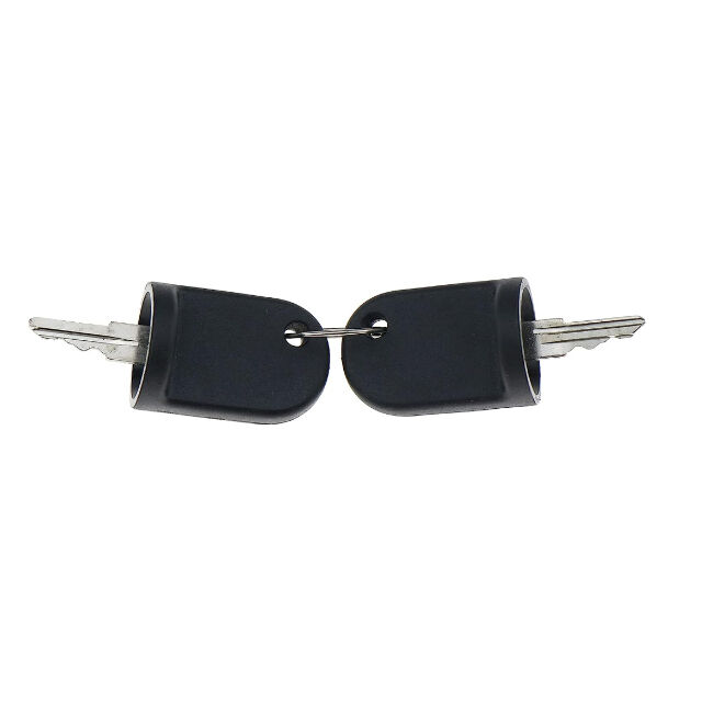 605637 605946 609680 Ignition Keys Set Fits for EZGO 2008-Up EZGO RXV Golf